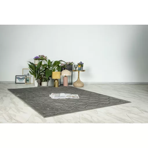 Amira 201 Grey szőnyeg 120x170 cm