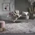  Carrara Blush szőnyeg 80x150 cm
