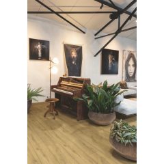 Classic Mézbarna Tölgy