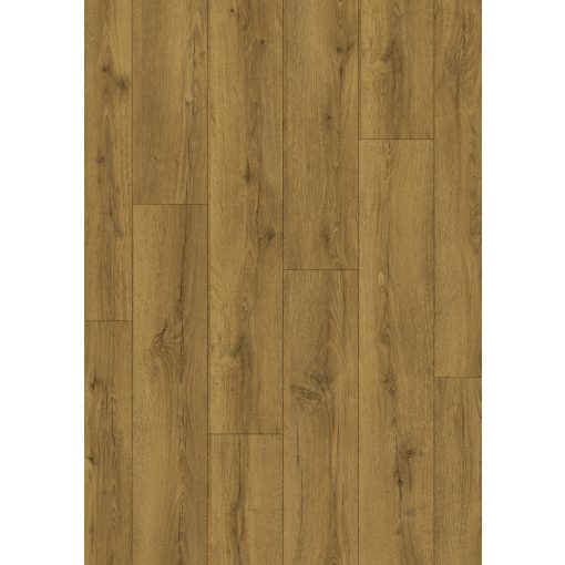 Classic Mézbarna Tölgy