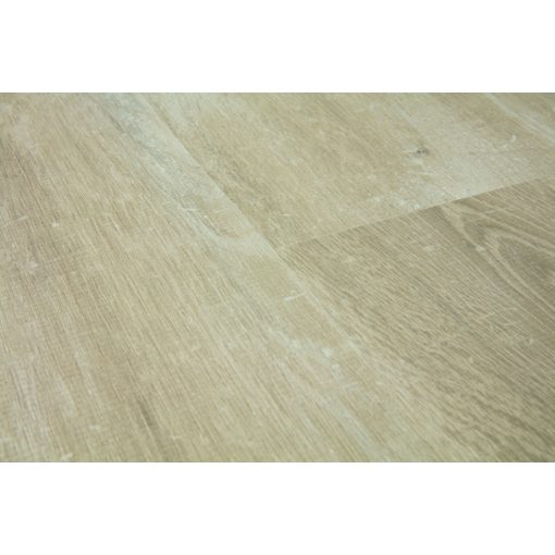 Creo Barna Charlotte tölgy