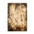 Pierre Cardin Elysee 904 Gold  szőnyeg 200x290 cm