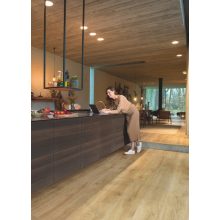 Majestic Természetes Erdei Tölgy