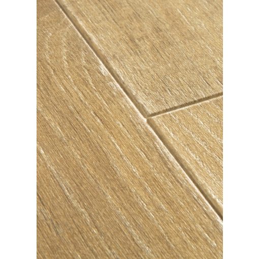 Majestic Természetes Erdei Tölgy