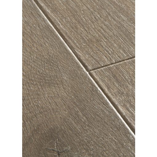 Majestic Barna Erdei Tölgy