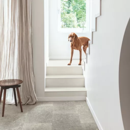 Muse Szürke Beton Vízálló laminált padló