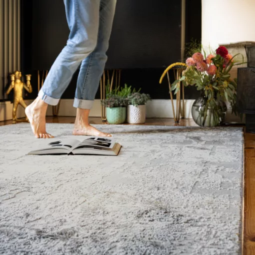 My Nevada  341 Grey szőnyeg 160x230 cm