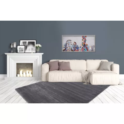 Softtouch Grey szőnyeg 80x150 cm
