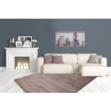 Softtouch Light Brown szőnyeg 160x230 cm