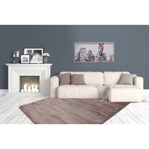 Softtouch Light Brown szőnyeg 160x230 cm
