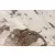 Pierre Cardin Tropez 503 Beige szőnyeg 80x150 cm